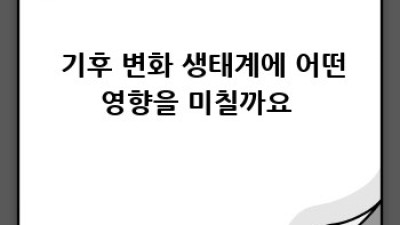 🌿 생태계정량평가, 우리 동네 자연은 몇 점? 🧐 점수 매기는 방법부터 정책 효과까지!