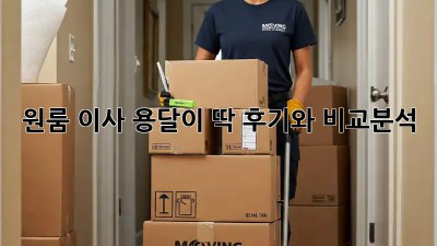 원룸 이사, 용달이 딱! 후기와 비교분석